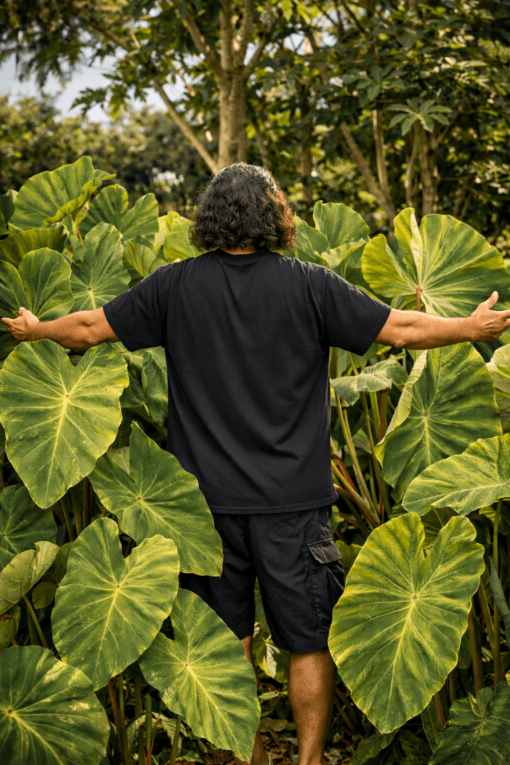 Donavan in the māla among kalo plants on the Hamakua Coast